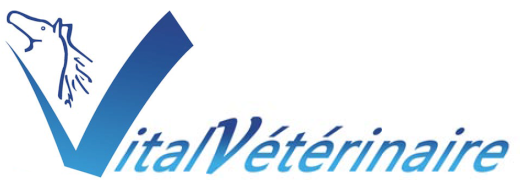 Logo-VitalVetTransparent